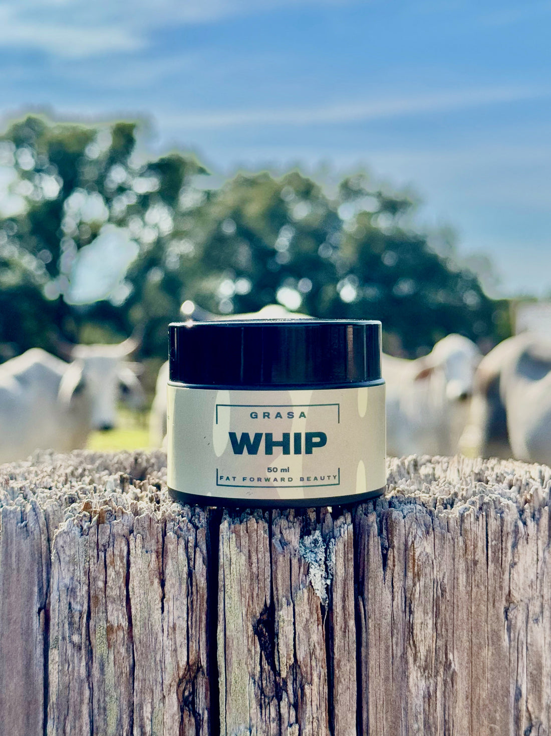 Discover the Whipped Nourishing Moisturizer